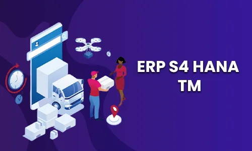 SAP TM Training In Chennai