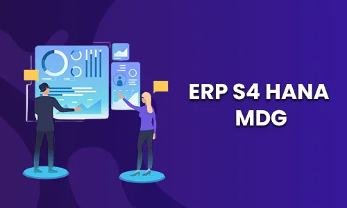 SAP MDG Training In Chennai