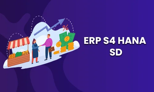 SAP SD Training In Chennai
