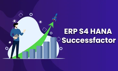 SAP SuccessFactors Training In Chennai