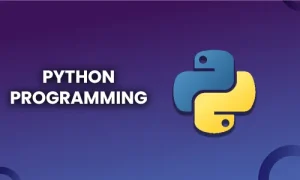 Best Python Training in Chennai