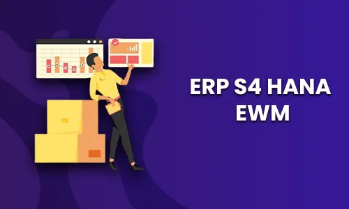 SAP EWM Training In Chennai