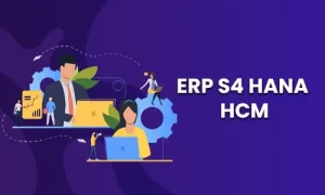 SAP HCM Training In Chennai