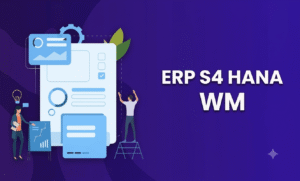 Sap Wm Training In Chennai